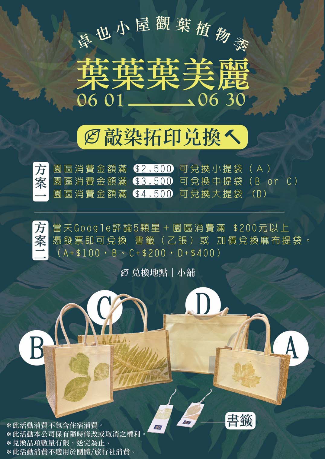 2025 觀葉植物季-敲染拓印活動