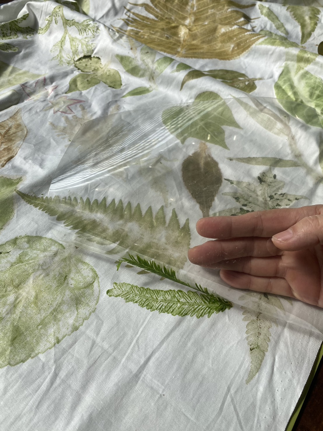 2025 觀葉植物季-敲染拓印活動