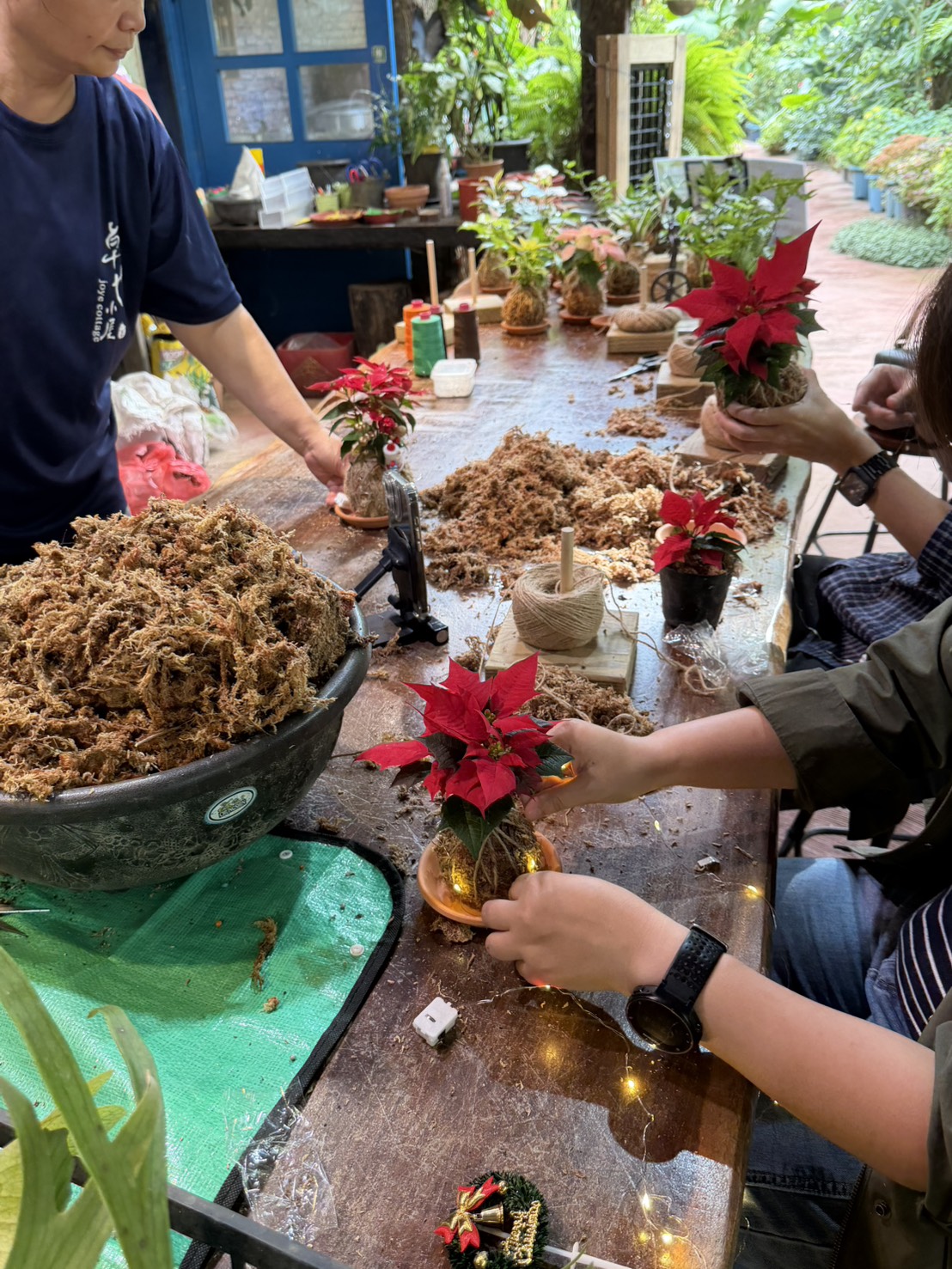 聖誕水苔球DIY 每日9:00~16:00 自己動手做~