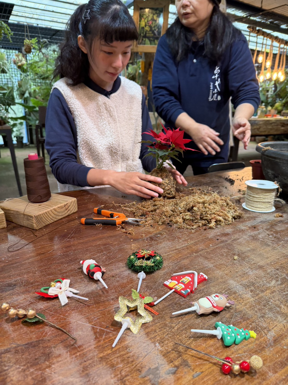 聖誕水苔球DIY 每日9:00~16:00 自己動手做~